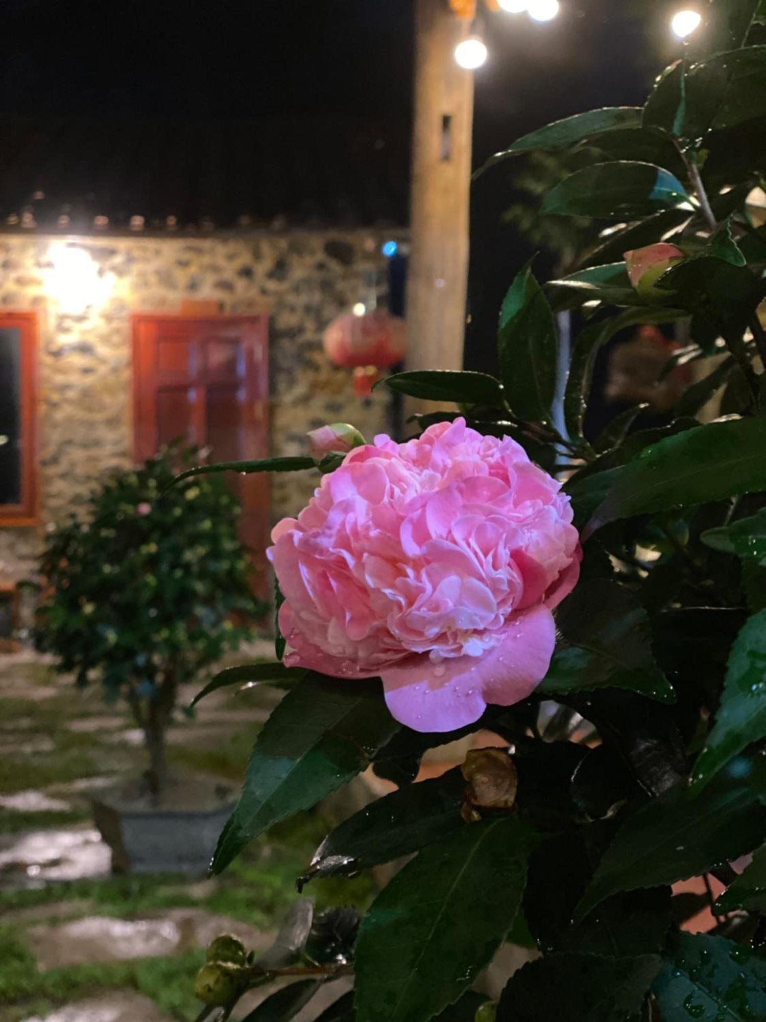 Lan Rung Homestay Lung Nieo Εξωτερικό φωτογραφία